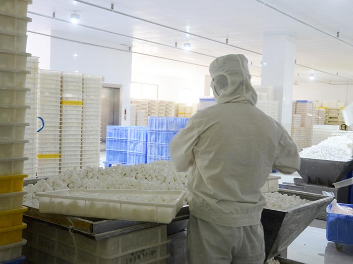 浅谈豪顿食品的生产实力